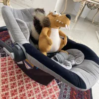 کریر برند دلیجان