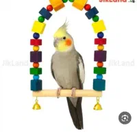 عروس گم شده
