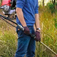 خدمات علف زنی