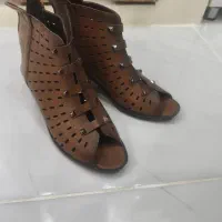 کفش مجلسی|کیف، کفش، کمربند|گلبهار, شهر جدید گلبهار|دیوار