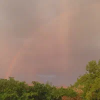 گمشدگان