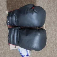 دستکش بوکس|تجهیزات ورزشی|تهران, افسریه شمالی|دیوار