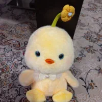 عروسک کرومی و جوجه گل به سر