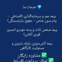 صدور انواع بیمه ها از شرکت پاسارگاد بصورت اقساطی|خدمات مالی، حسابداری، بیمه|یزد, |دیوار