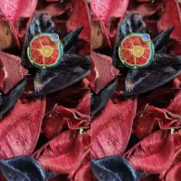 گوشواره استیل رزین|بدلیجات|اصفهان, شهرک امام خمینی|دیوار