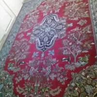 فرش 12متری|فرش|سمنان, |دیوار