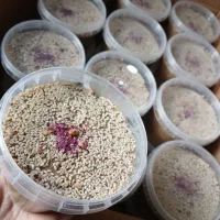 حلوا معجون حلوا تبریزی حلوا بزرک پشمکی