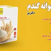 پودر جوانه گندم|خوردنی و آشامیدنی|فارسان, |دیوار