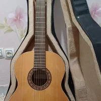 گیتار آلمانزا 401