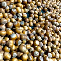 فندوق تازه چین ییلاق