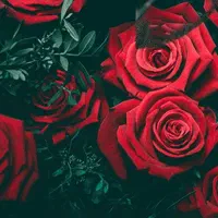 پک چاق کننده جواب دهی 100در100