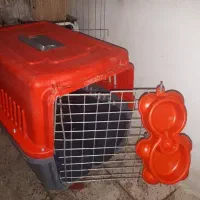 باکس سگ بزرگ