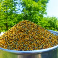 گرده گل (خاویار گیاهی)