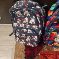 کیف مدرسه اسپرت|کیف، کفش، کمربند|کرمان, |دیوار