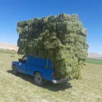 علوفه  یونجه پرس وکاه