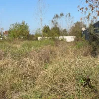 330 متر سنگ تک برگ با مجوز ساخت