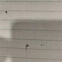 زمین مسکونی به مساحت 230 متر مربع