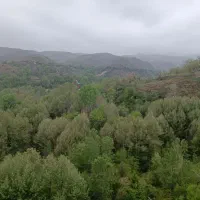 سوئیت آپارتمان شیک و تمیز در ابرده