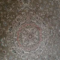 فرش ۱۲متری|فرش|داراب, |دیوار