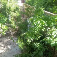 خانه-باغ-300مترطزرجان