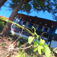 خانه-سنتی-گیلانی