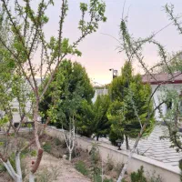 سرایدار