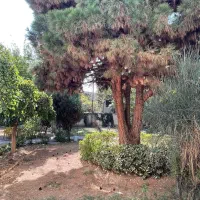 ۱۳۵ متر فاز ۱ مهرشهر بلوار شهرداری قدرالسهم عالی|فروش آپارتمان|کرج, فاز ۱ مهرشهر|دیوار