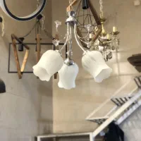 پخش کننده لوستر گیلاسی