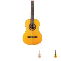 Protege C1 3/4 مدل Cordoba کیتار