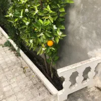 فروش ویلا سمت دریا معاوضه با اپارتمان دررشت|فروش خانه و ویلا|رشت, حومه رشت|دیوار