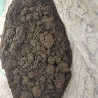 کود ورمی کمموست (کود کاملا اورگانیک و بی بو)|عمدهفروشی|فردیس, شهرک ارم|دیوار