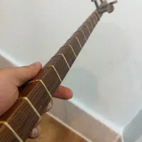 تار سنتی|سازهای سنتی|سبزوار, علمدار|دیوار