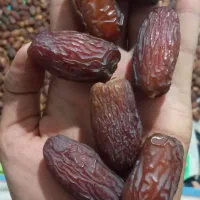 خرما مجول وپیارم|خوردنی و آشامیدنی|فسا, |دیوار