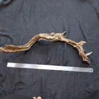 چوب آکواریومی