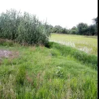 15000متر-زمین-زراعی-کشاورزی