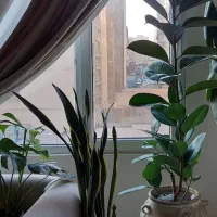 گلدان سفالی پتینه