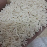 برنج نمیدانه معطرولاشه معطروکامل گیلان رسید|خوردنی و آشامیدنی|قم, شاه ابراهیم|دیوار