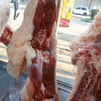 قصابی کرتلایی گوشت گوسفندی  بره ،کوه ،شیشک ،میش|خوردنی و آشامیدنی|شوشتر, |دیوار