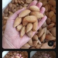 بادام درجه یک تازه خشک شده