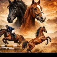 اسب و نگهداری