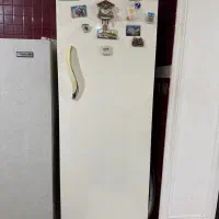 یخچال فراست ،کار می‌کند، نیاز به تعمیر جزئی