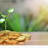 وام وسرمایه|خدمات مالی، حسابداری، بیمه|باسمنج, |دیوار