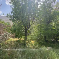 ۲۶۰ متر زمین کیلان دماوند