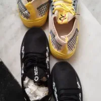 کفش|کیف، کفش، کمربند|گلبهار, شهر جدید گلبهار|دیوار