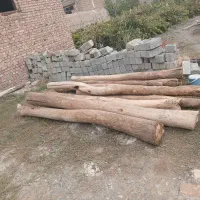 چوب