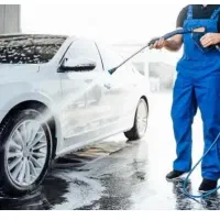 استخدام نیرو کارواش