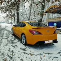 هیوندا|خودرو سواری و وانت|پرند, فاز ۵|دیوار