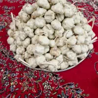 سیر بذری درجه 1 همدان جهت کاشت