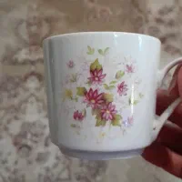 تعدادی لوازم سرو وپذیرایی فروشی