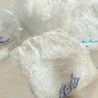 فروش بذر قارچ صدفی به صورت عمده